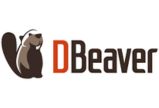 DBeaver Tool Image